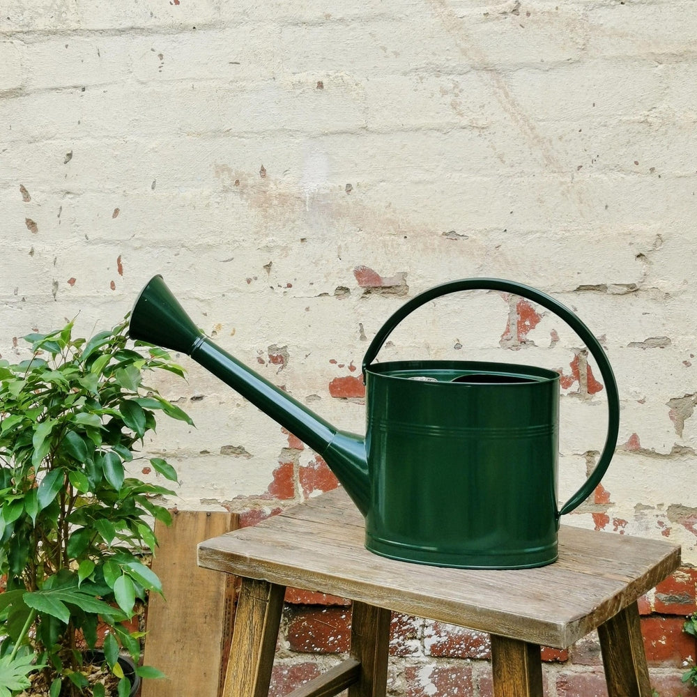 5L Galvanised Steel Waterfall Watering Can with Powder Coated Finish