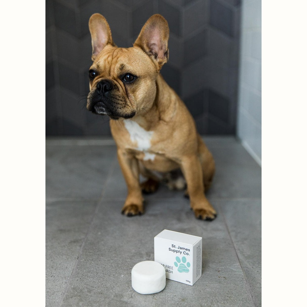 Soap Free Dog Wash