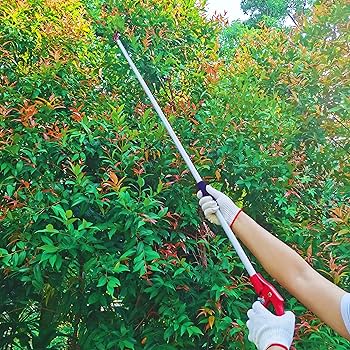 Ext. Cut & Hold Picker (1.8m To 3m) - Large Item