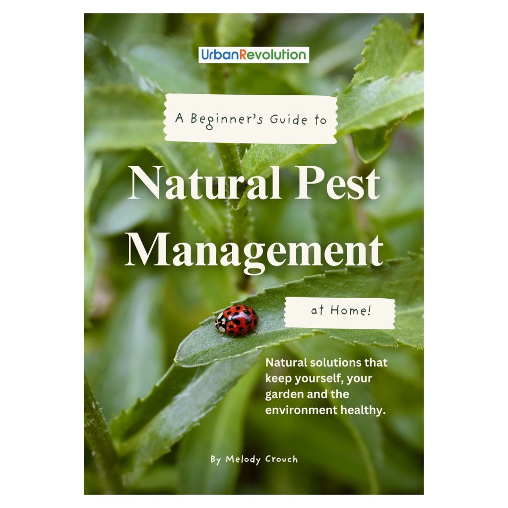 Cover of 'A Beginner's Guide to Natural Pest Management' digital guide with a ladybug on a leaf.