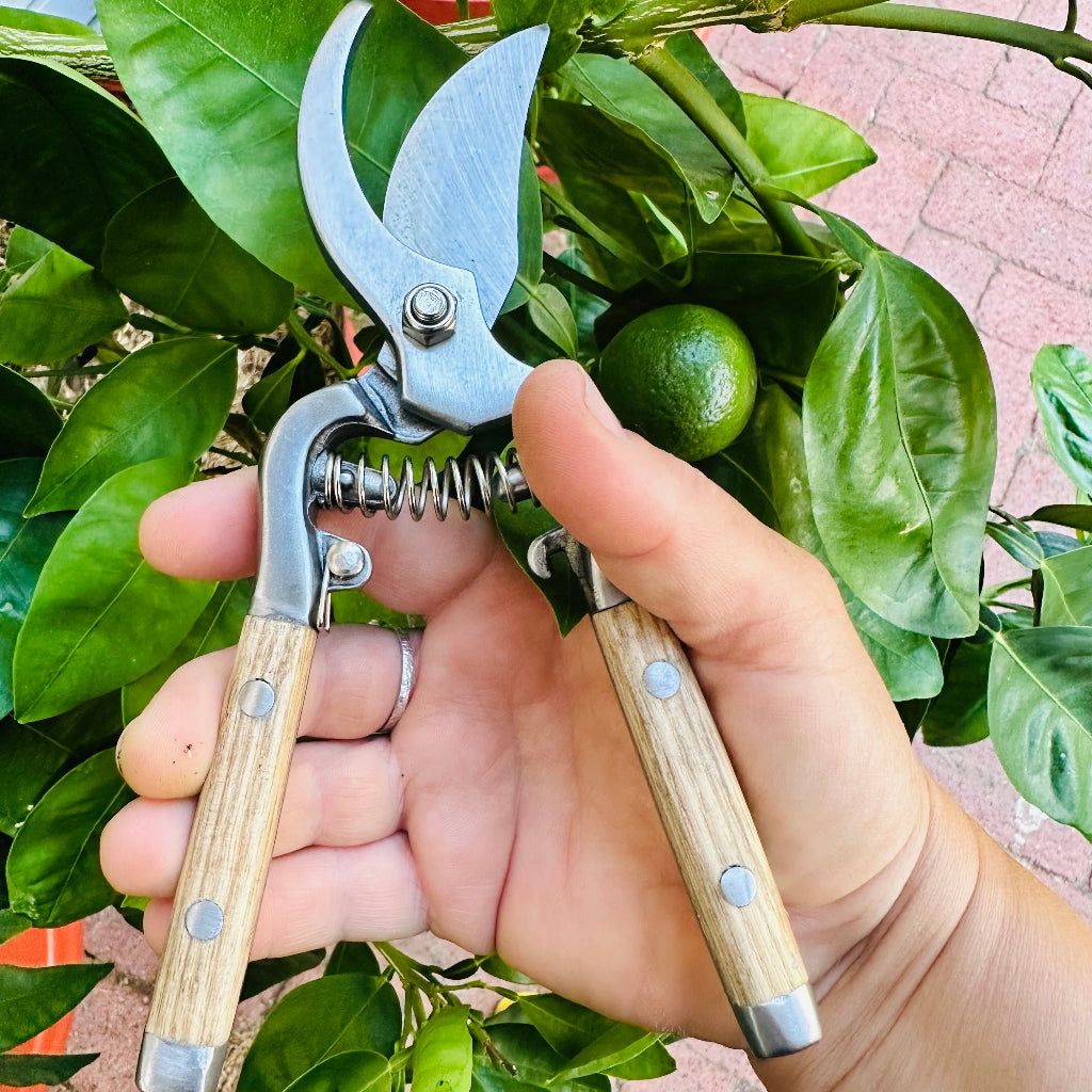 Ashwood Traditional Garden Secateur with Stainless Steel Blades and Ash Wood Handles.