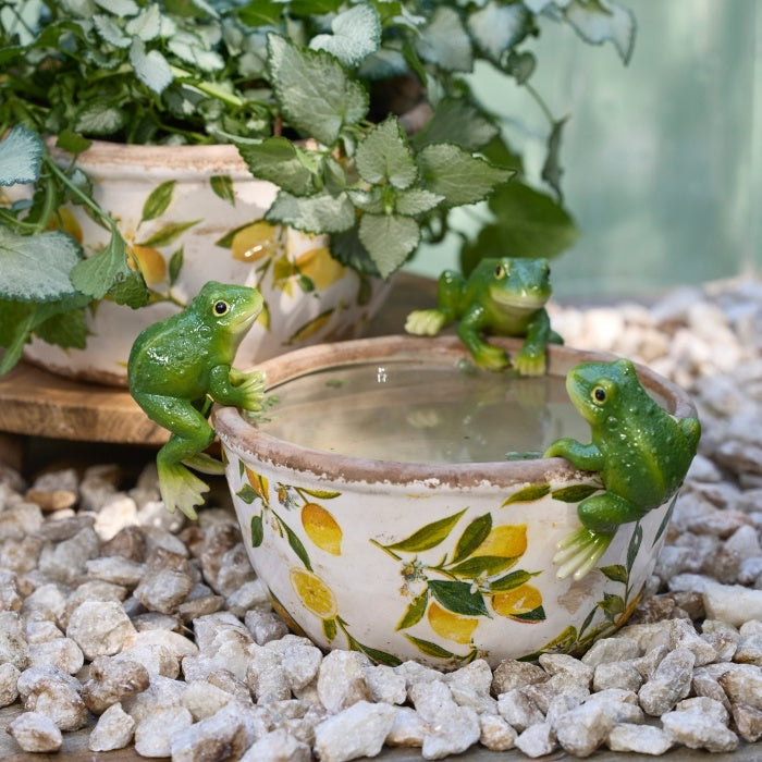 Water Bowl with Green Frog Pot Sitters on a Pebble Surface.