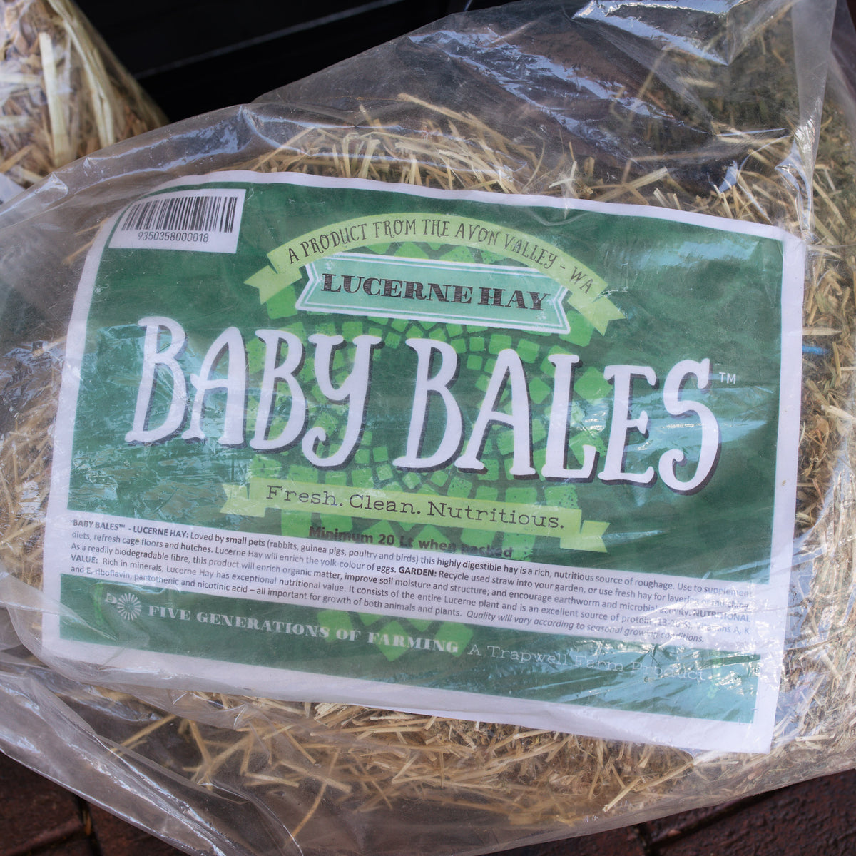 Baby Bales - Lucerne Hay