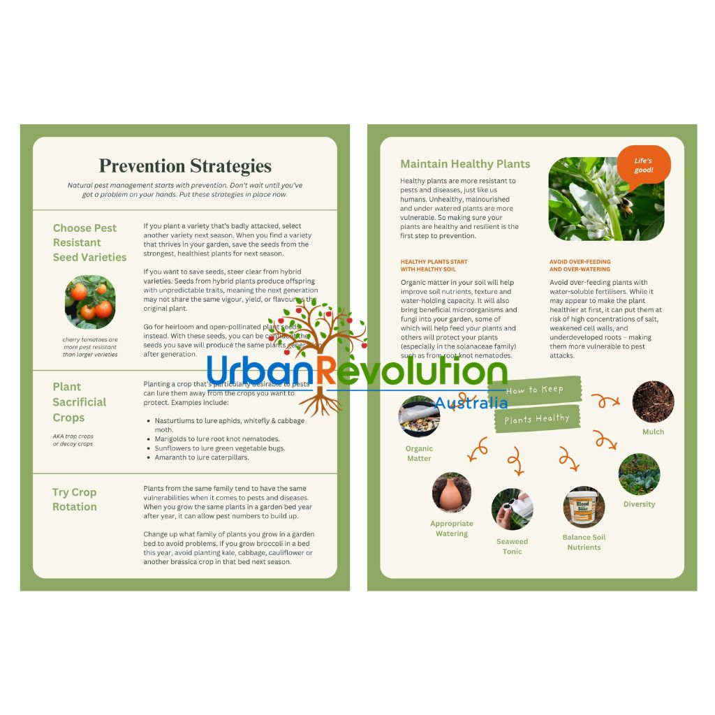 Sample pages from 'A Beginner's Guide to Pest Management' about prevention strategies by Urban Revolution. 