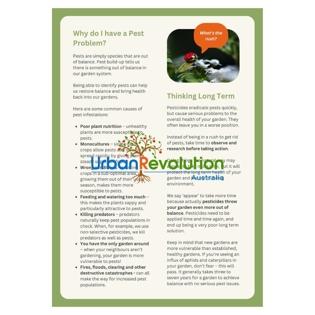 Sample page from 'A Beginner's Guide to Pest Management' titled 'Why do I have a pest problem?' from Urban Revolution.