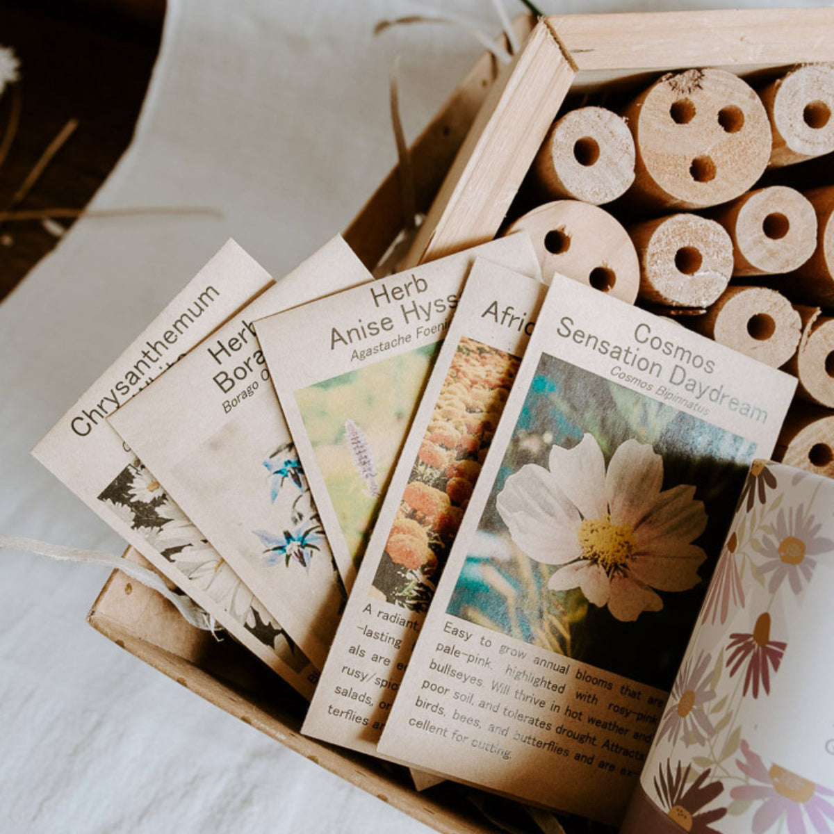 Biodiversity Champions Gift Box