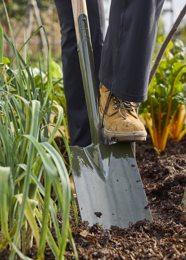 Person using a shovel in a garden with plants and soil visible