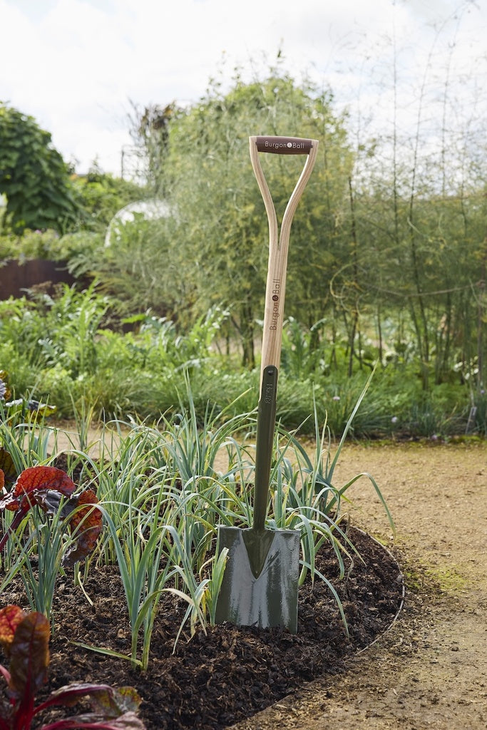 Garden shovel leaning against a raised garden bed with plants in the background