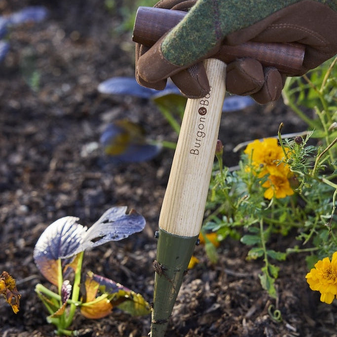 Gloved Hand using Boron Green Dibber in Garden.