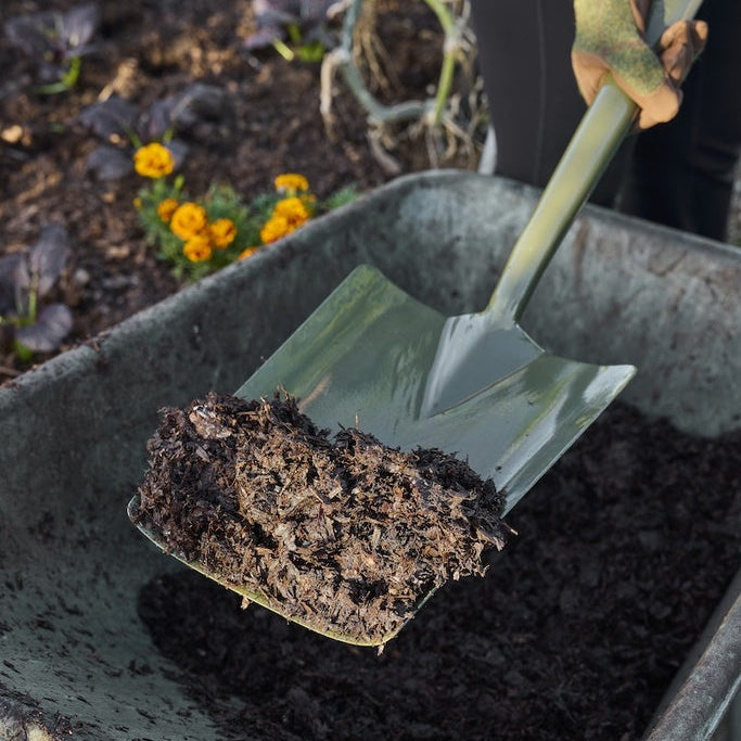Person using a shovel to transfer soil into a wheelbarrow with flowers in the background