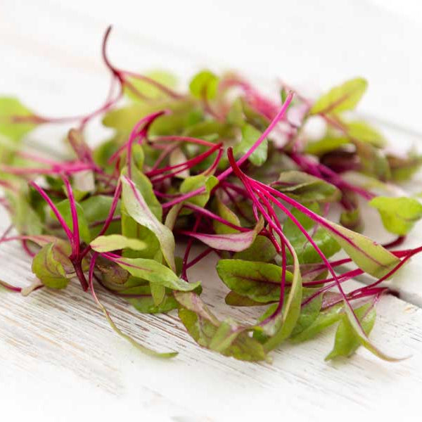 A small pile of fresh Ruby Chard microgreens with green leaves and bright pinkish-red stems, photographed on a white wooden surface.