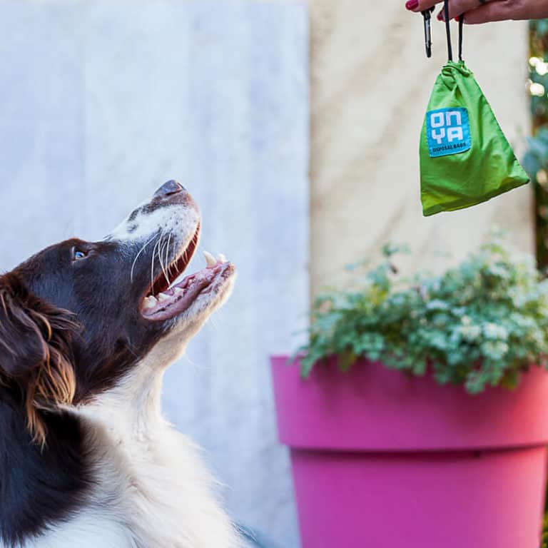 Onya Dog Waste Disposal Bags and Carry Pouch - Disposal Bag