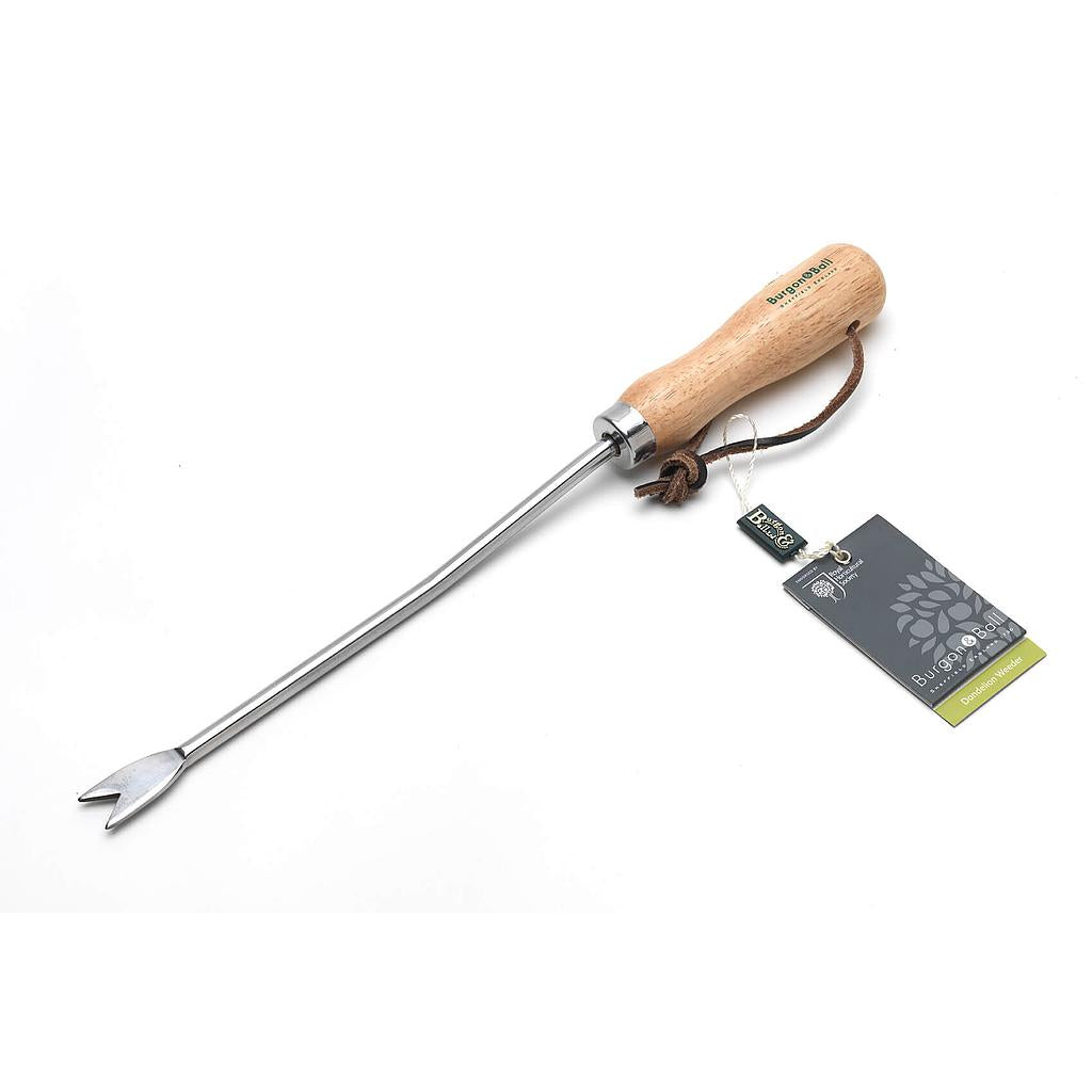 Dandelion Weeder from Burgon & Ball with Stainless Steel Head, Timber Handle and Leather Hanging Cord.