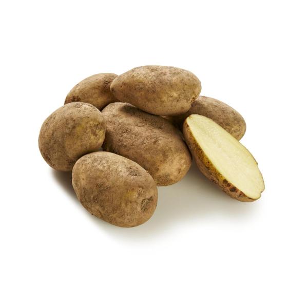 dutch cream potatoes on a white background