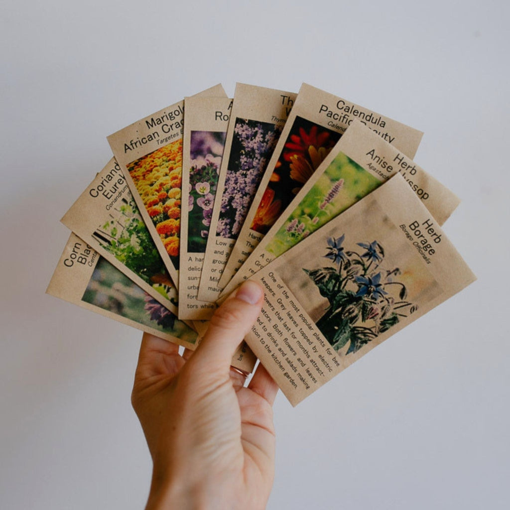 edible flower seeds australia Edible Flowers Seed Pack | Urban Revolution