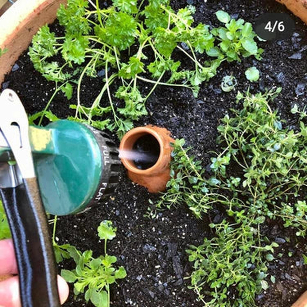 Using Hose to Fill 1L Olla Pot.