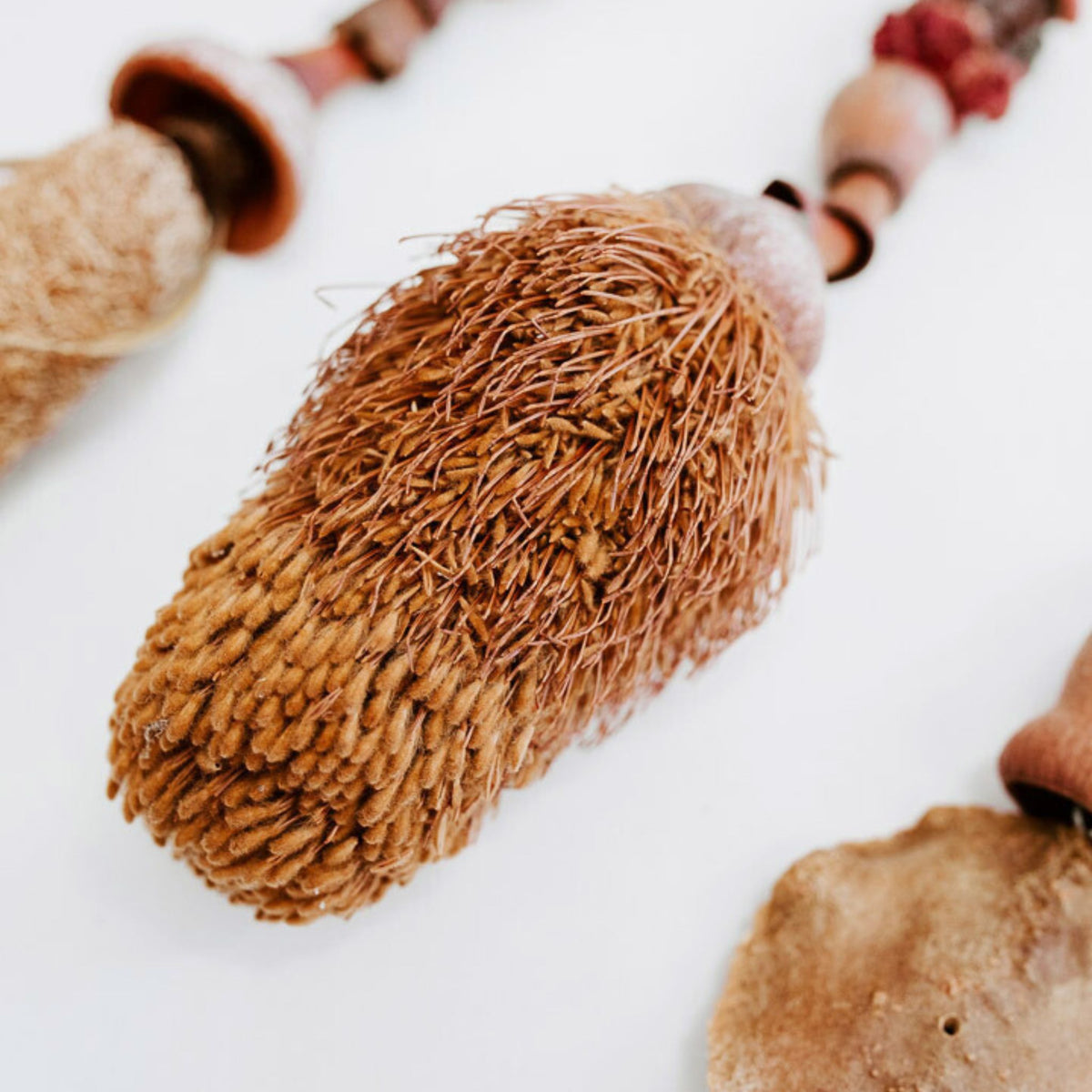 Foraged Seedpod Garlands, Handmade by Jim