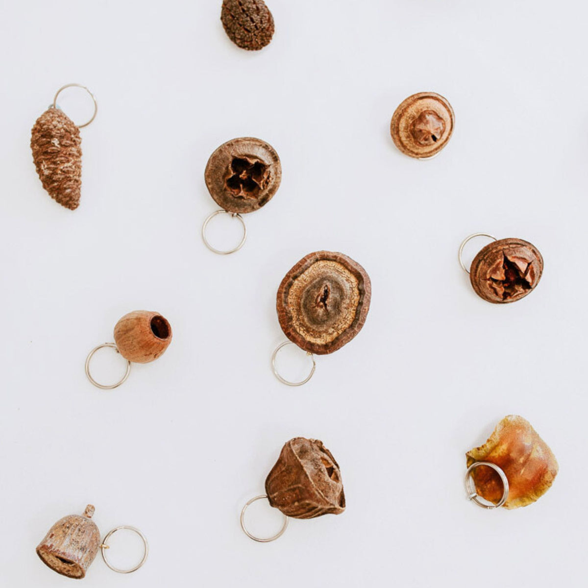 Foraged Seedpod Keyrings, Handmade by Jim