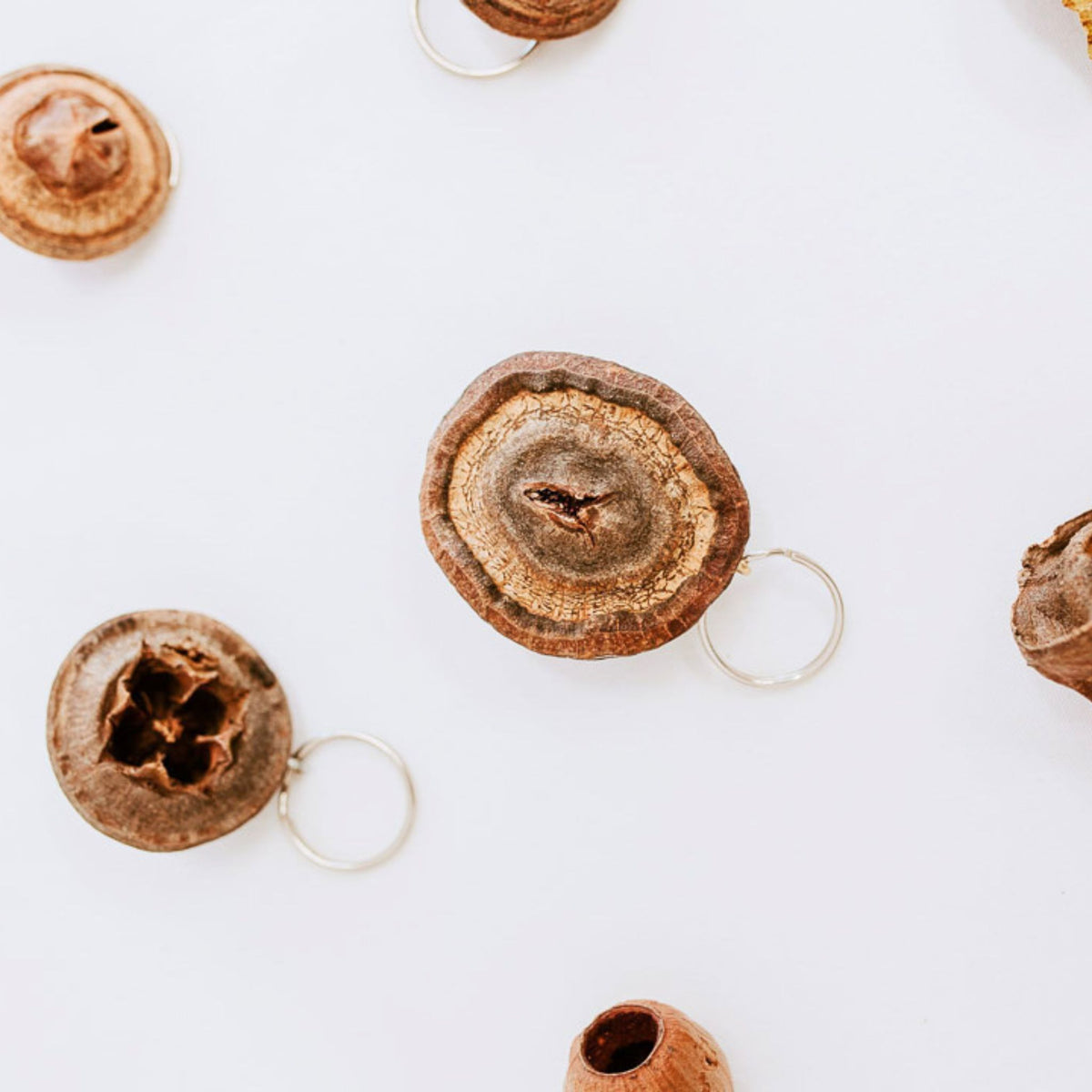 Foraged Seedpod Keyrings, Handmade by Jim