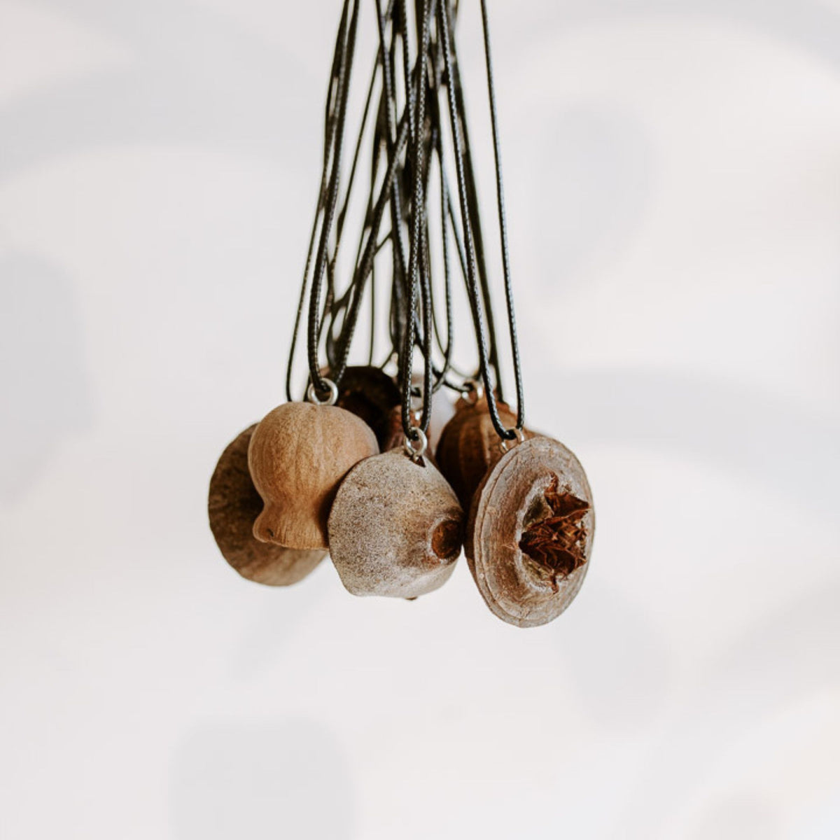 Foraged Seedpod Necklaces, Handmade by Jim
