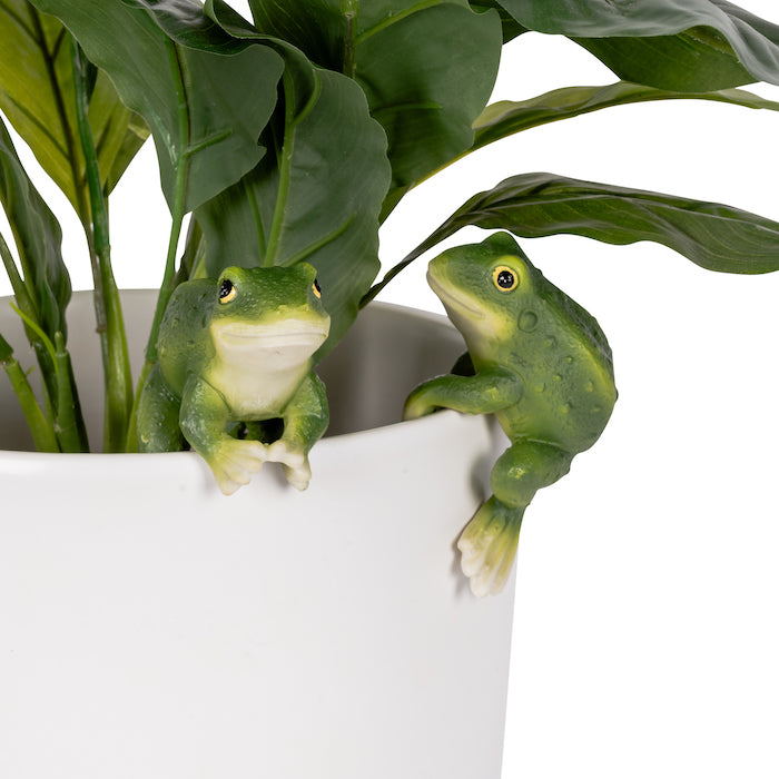 Two Green Frog Pot Sitters, Sitting on rim of a White Pot with Plant.