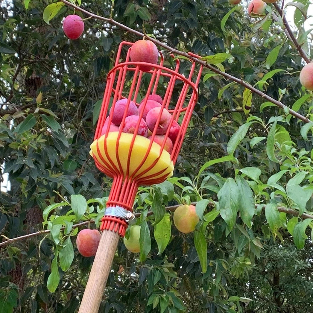 Picking Fruit with the Fruit Picker Head, Urban Revolution.