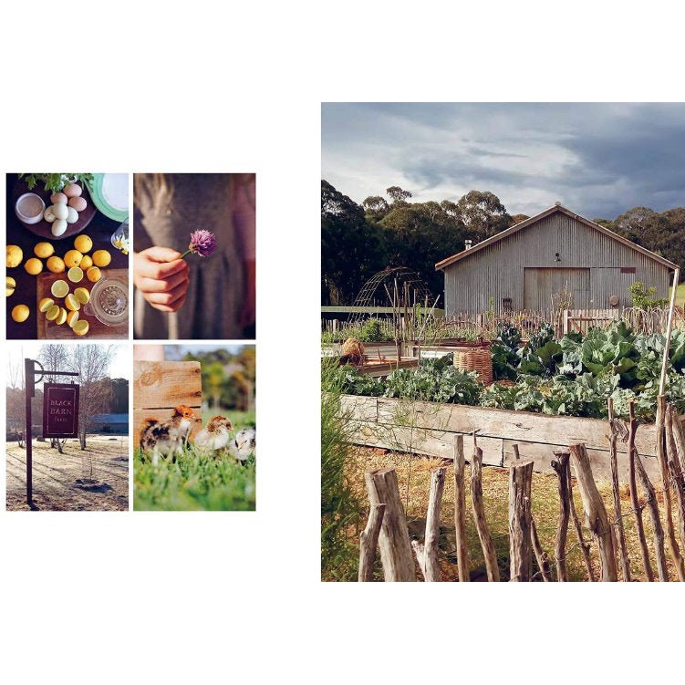 Future Steading by Jade Miles - Book Photos of Kitchen Garden, Livestock and Produce.