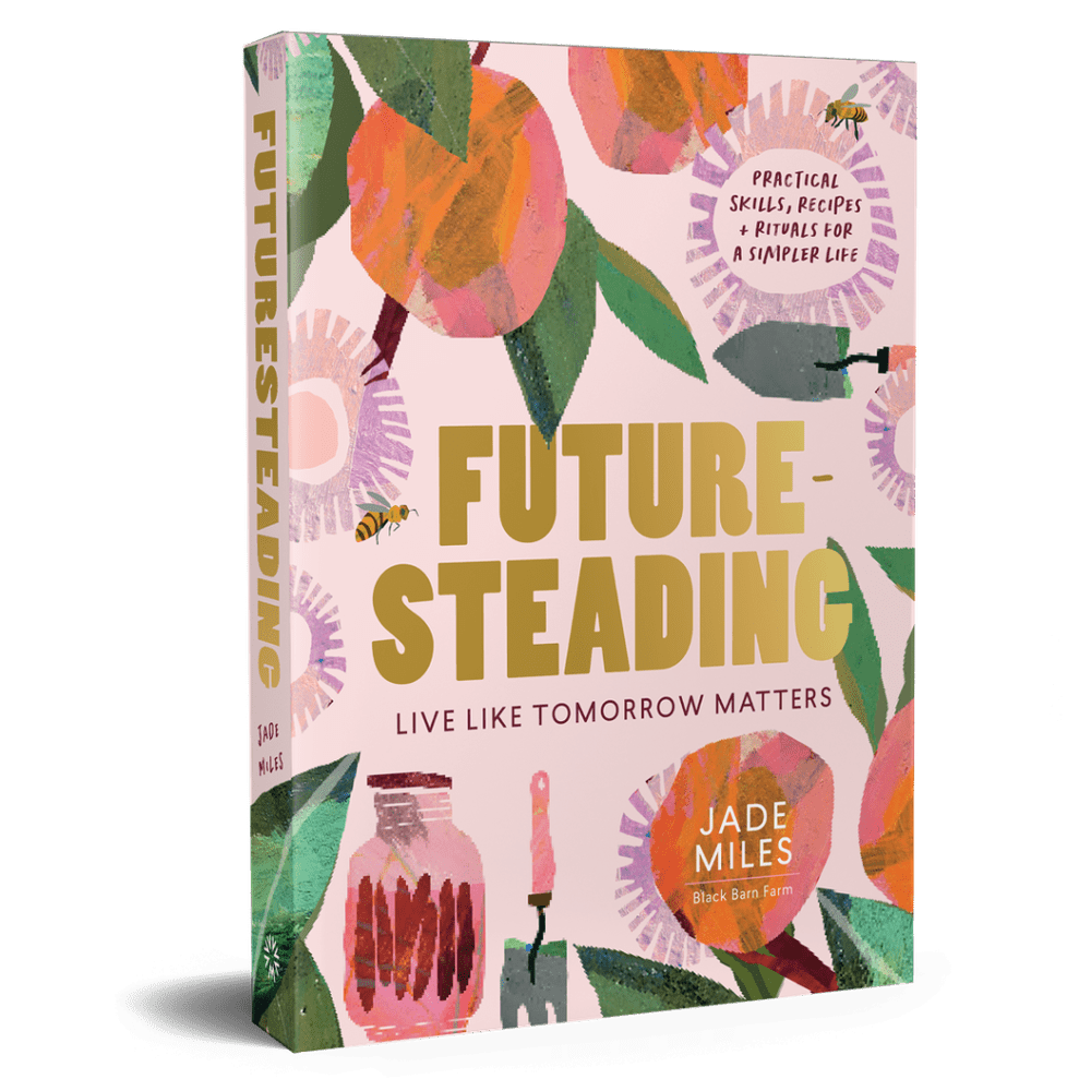 Future Steading by Jade Miles, Urban Revolution.