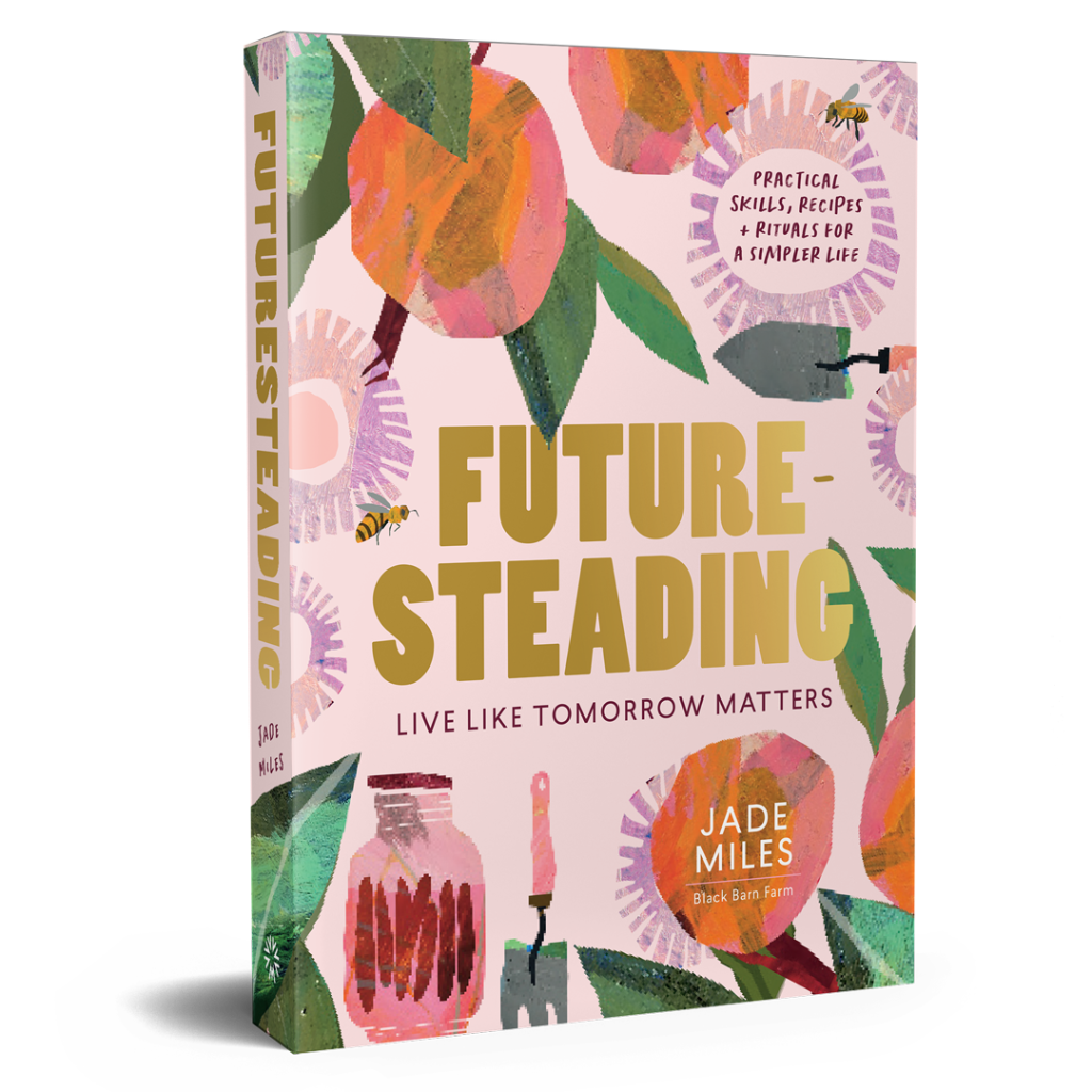 Future Steading by Jade Miles, Urban Revolution.