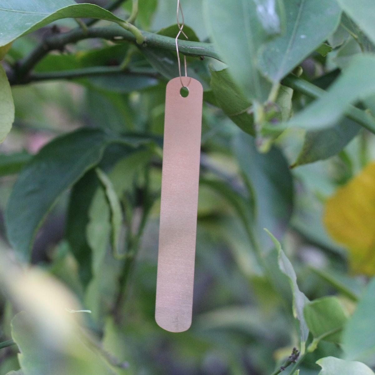 Copper Hanging Labels - 10 Pack