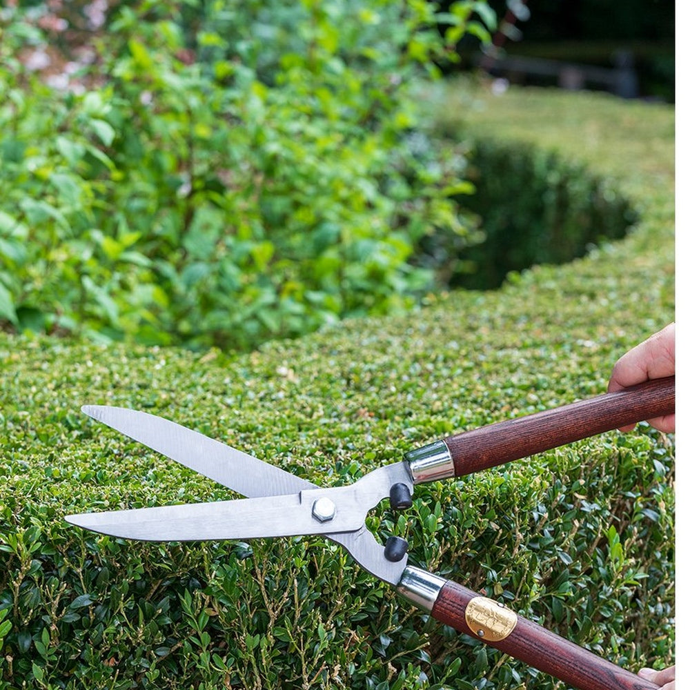 Hedge Shear, from the National Trust Collection by Burgon & Ball