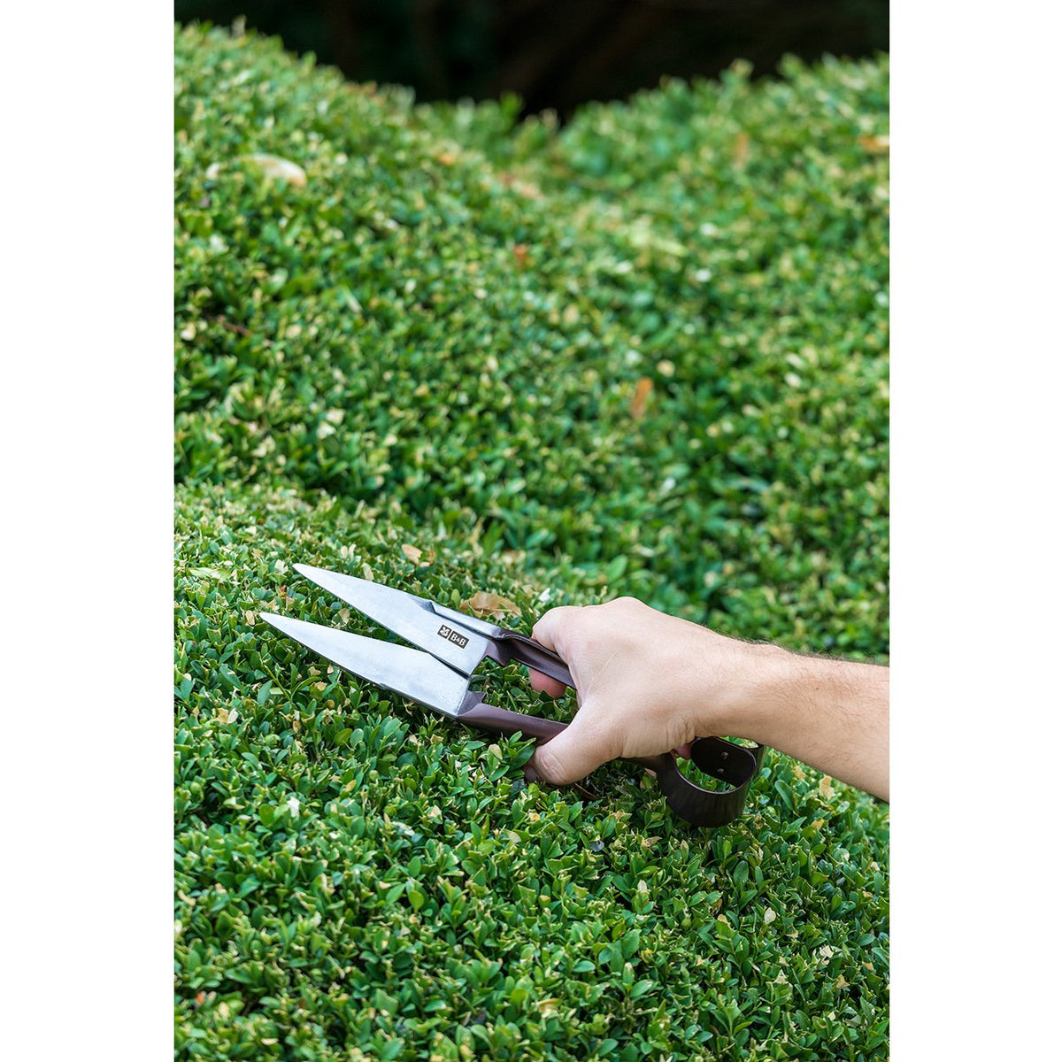 Topiary and Trimming Shears (Small), from Burgon & Ball