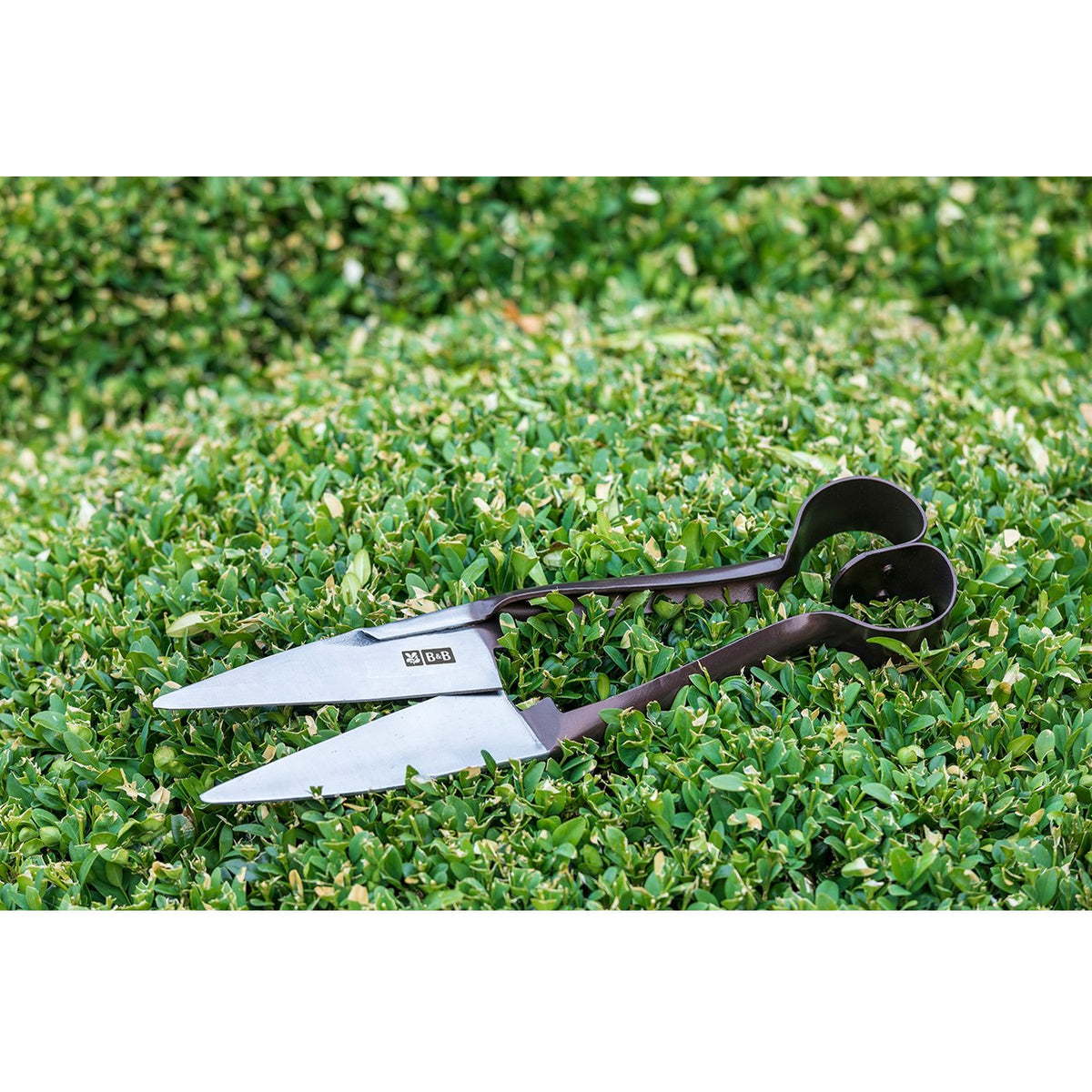 Topiary and Trimming Shears (Large), by Burgon &Ball
