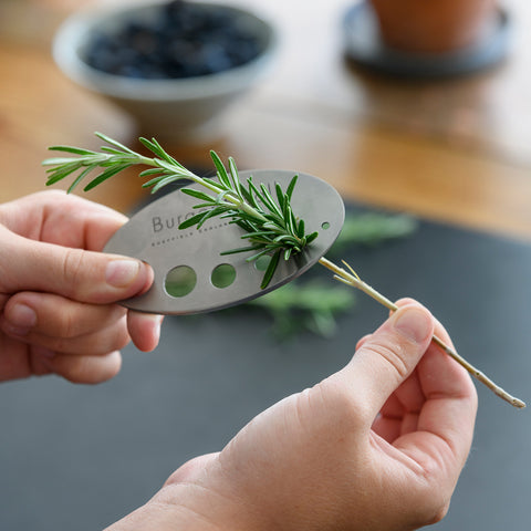 RHS Herb Snip and Herb Stripper Set - Asteraceae