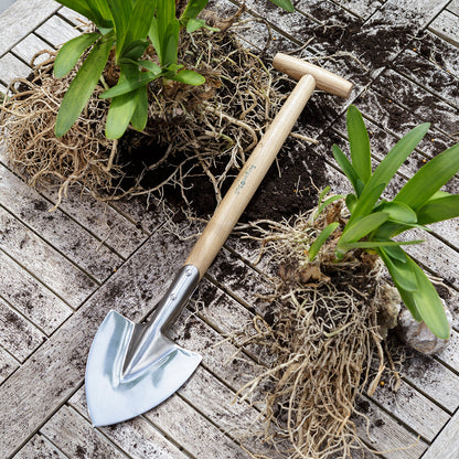 Stainless Steel Perennial Spade from Burgon & Ball