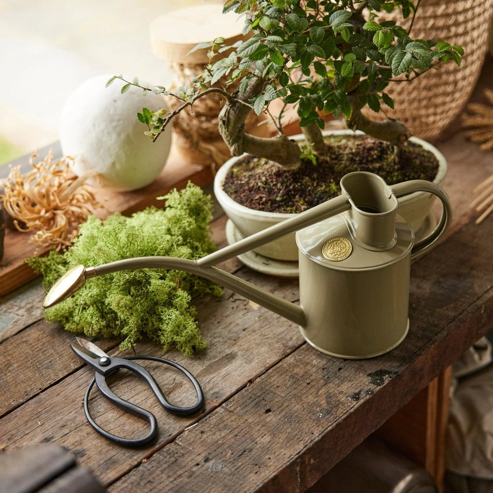 The Rowley Ripple 1L Watering Can