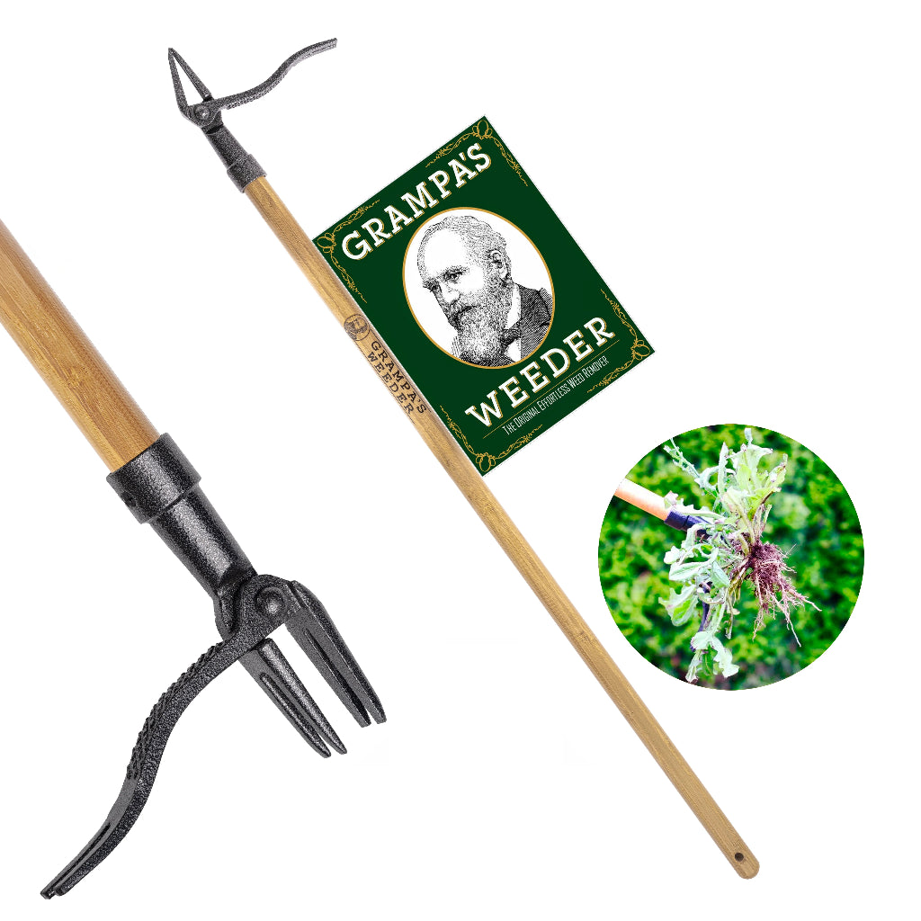 Gardening weeding tool with 'Grampas Weeder' packaging and example of it pulling a weed