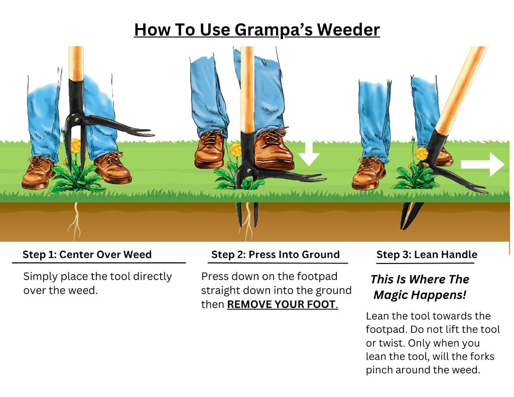 Diagram Showing how to Use the 'Grampa's Weeder' Tool with Steps and Illustrations.