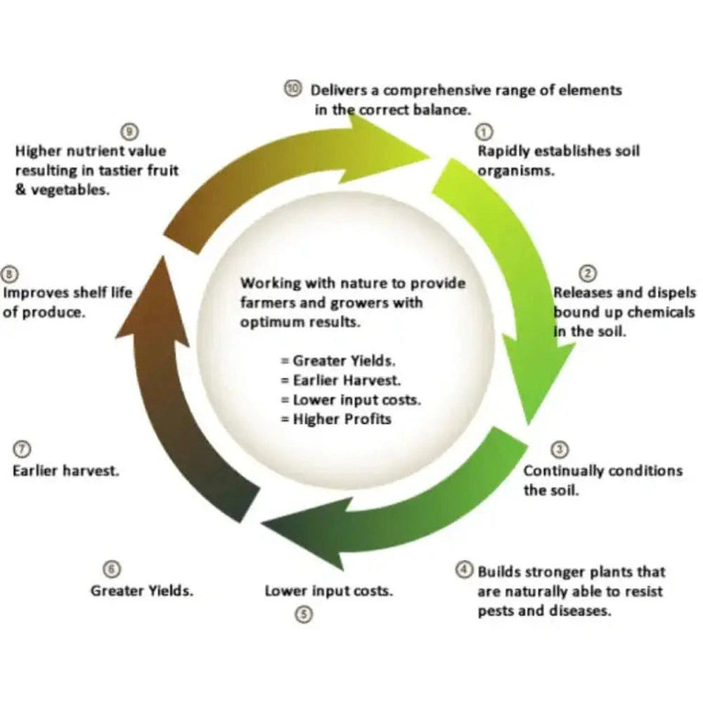 Diagram of Plant Growth Cycle When Using EarthFood.