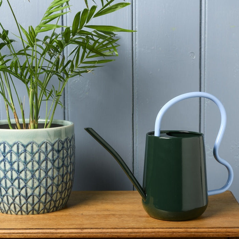 Collector Scalloped Indoor Watering Can in Heritage Green next to Pot Plant.