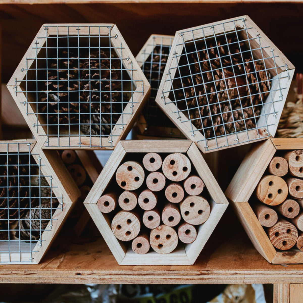 Hexagon Bee and Insect Hotels with Bamboo, Wooden Blocks, or Pinecones
