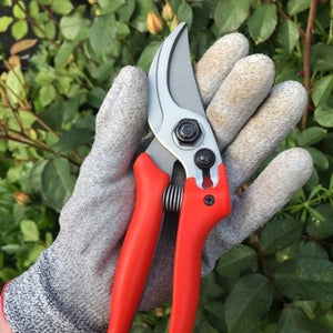 Compact Bypass Pruner - Small
