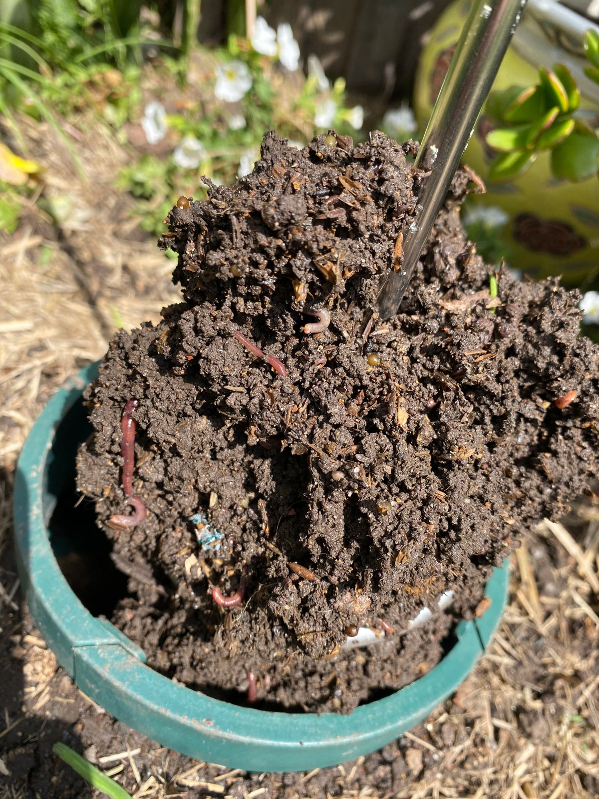 EnsoPet Pet Waste Composting Kit