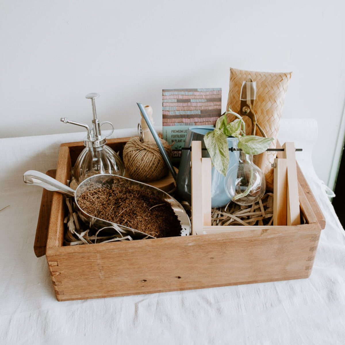 Indoor Plant Lovers Gift Box