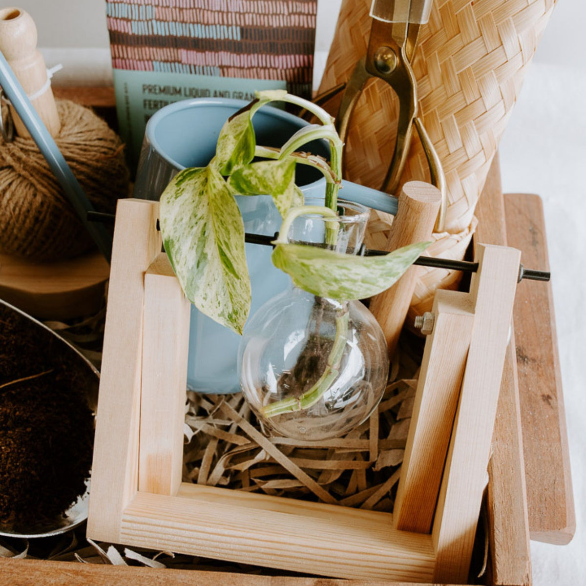 Indoor Plant Lovers Gift Box
