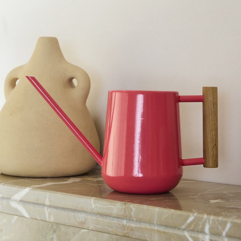 Coated Metal Indoor Watering Can with Wooden Handle on Shelf.
