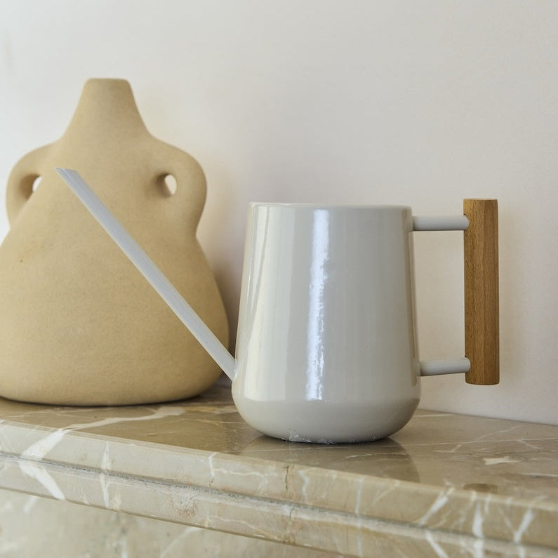 Coated Metal Indoor Watering Can with Wooden Handle on Shelf.