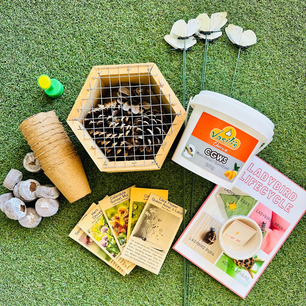 Integrated Pest Management and Companion Planting Bundle with Live Ladybird Eggs.