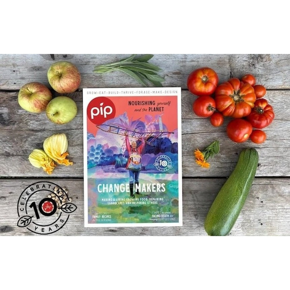 Pip Magazine Issue 31 Cover Page, Urban Revolution.