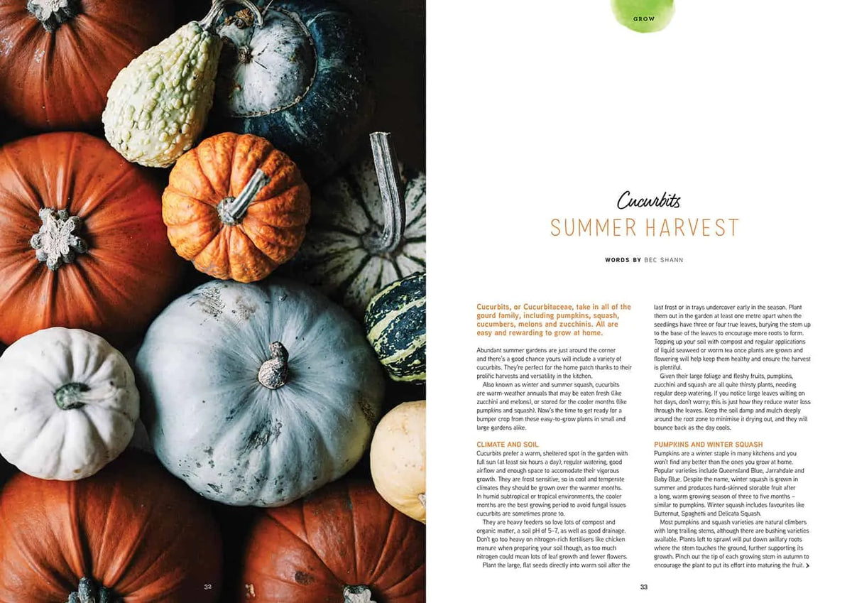 Pip Magazine - Issue 30 - Summer Harvest
